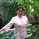 杨帆